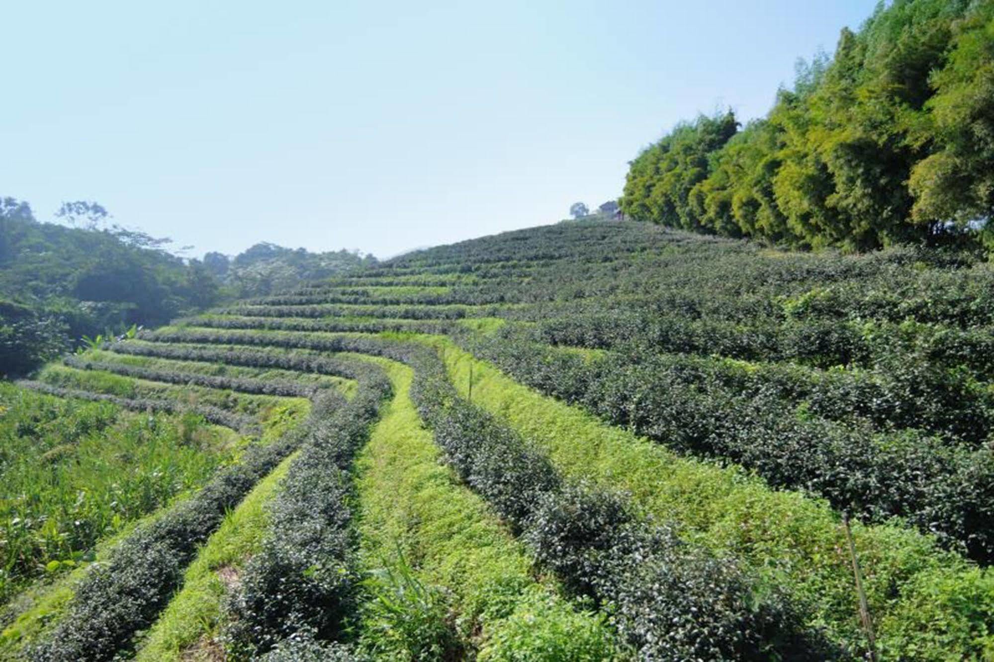 Chiang Rai Valley Resort @Doi Hom Fha Mae Chan Ngoại thất bức ảnh