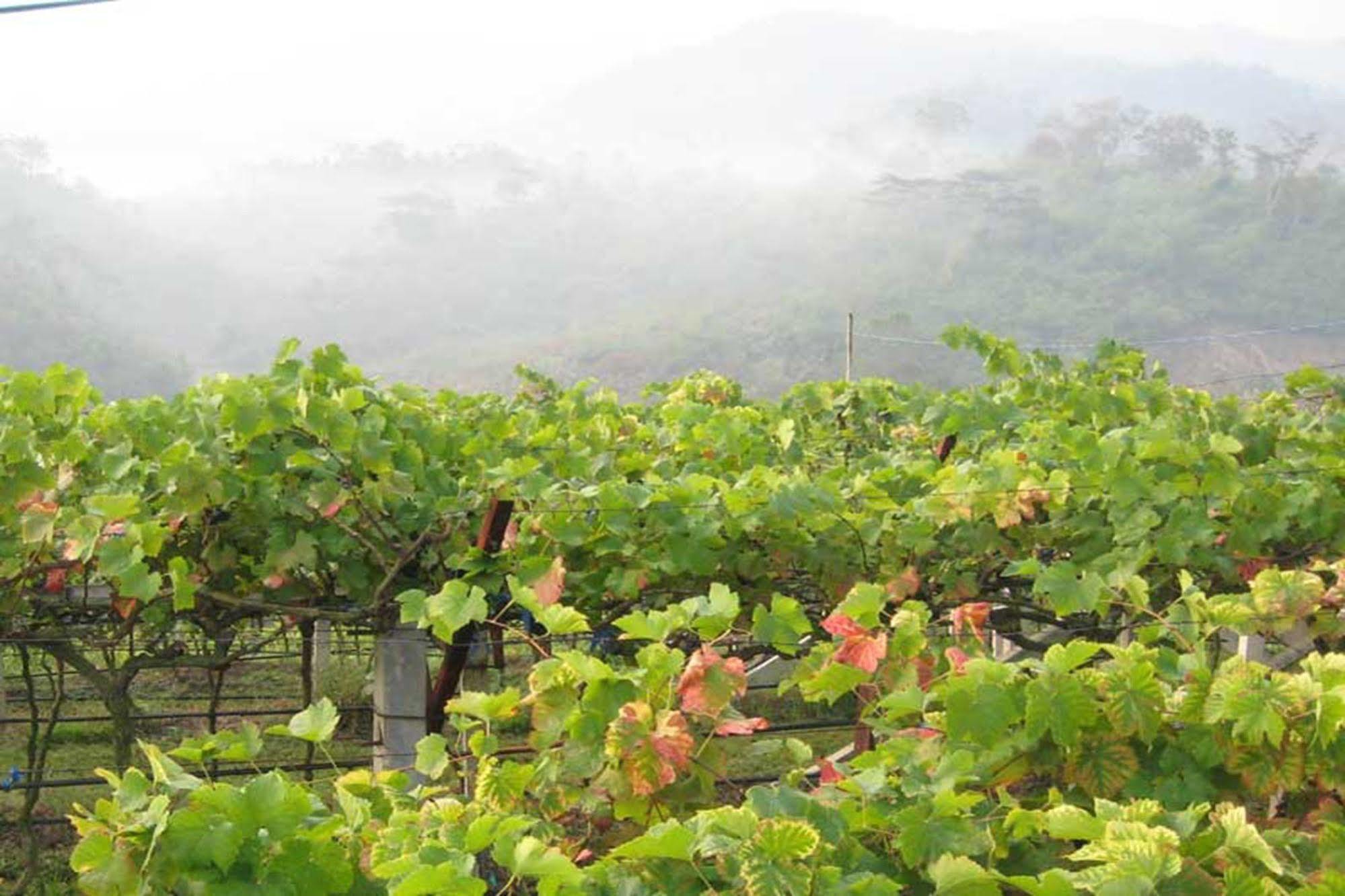 Chiang Rai Valley Resort @Doi Hom Fha Mae Chan Ngoại thất bức ảnh